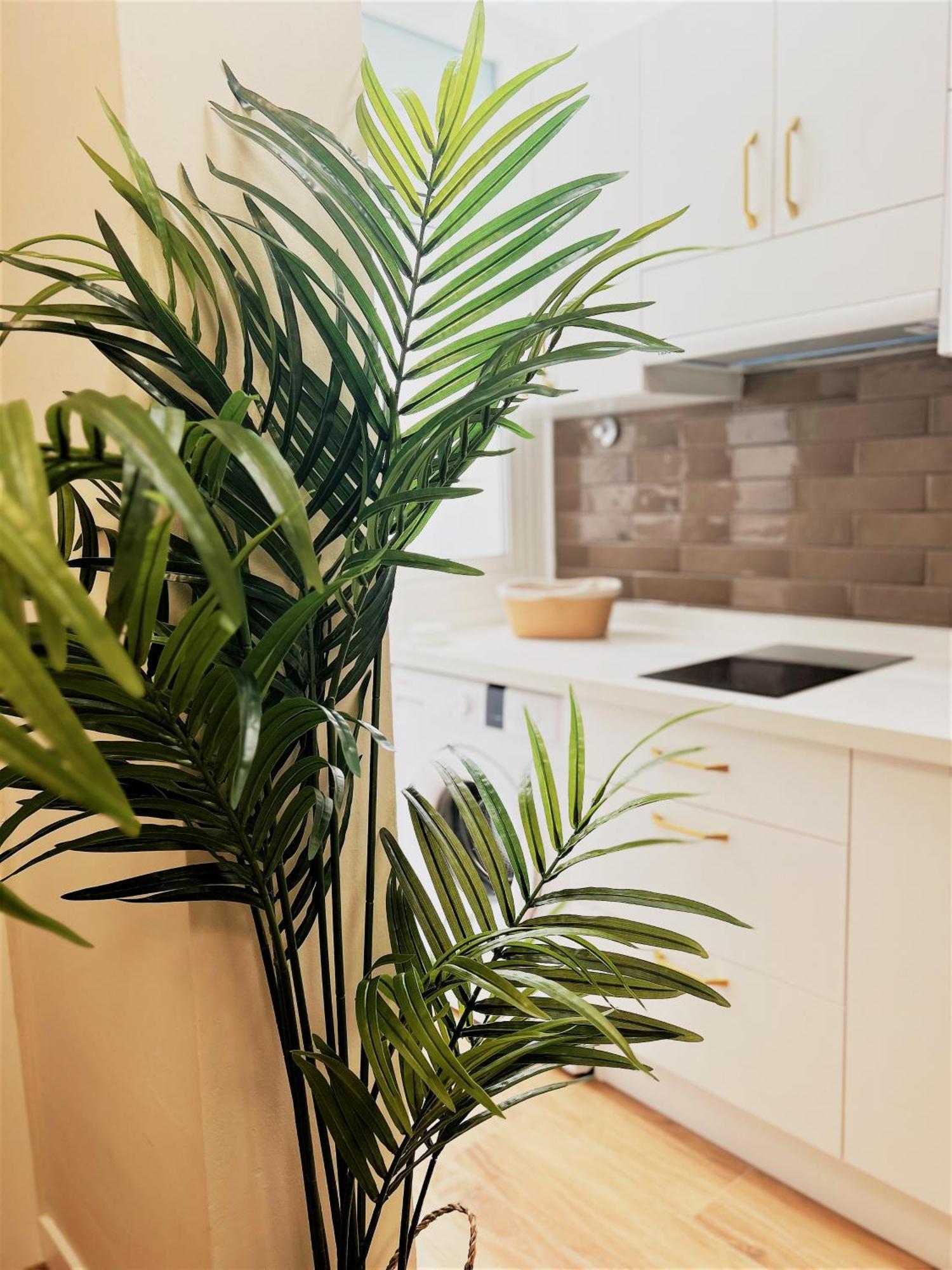 Apartamentos Pepita San Sebastian De La Gomera Ngoại thất bức ảnh